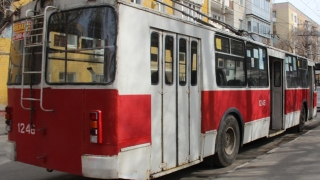 В Саратове из-за опиловки дерева встали троллейбусы двух маршрутов