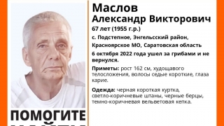 Под Энгельсом ищут седого грибника. Он ушел в лес еще вчера