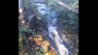Улицы Саратова без воды. Адреса отключений субботы