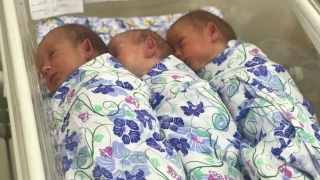 Названы самые популярные имена саратовских новорожденных