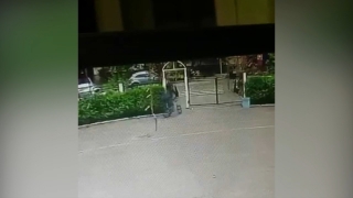 Кража велосипеда с территории саратовской гимназии попала на видео