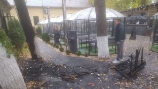 Утром около пляжа в Энгельсе горел рестобар
