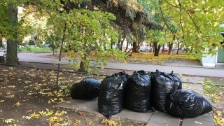 Саратовцев ждет прохладная облачная суббота