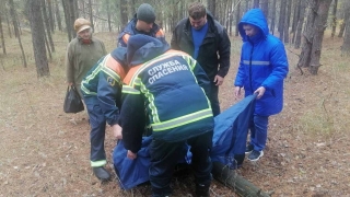 Пенсионерка пошла в лес и сломала ногу. Ей помогли спасатели