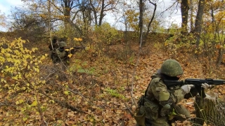 На полигоне под Саратовом мобилизованные учились бесшумно передвигаться по лесу