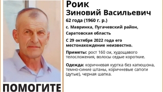 В Пугачевском районе пропал 62-летний Зиновий Роик