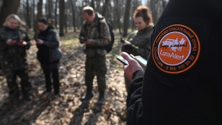 Более шести тысяч человек потерялись в лесах за грибной сезон