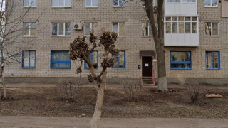 Жители саратовского поселка просят не открывать алкомаркет в пятиэтажке