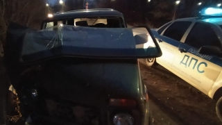В Волжском районе пожилой водитель "Нивы" врезался в дерево