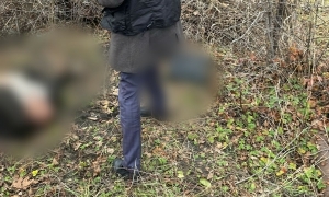 В саратовском СНТ найден неопознанный труп
