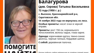 Саратовские спасатели и волонтеры ищут пропавшую в лесу женщину