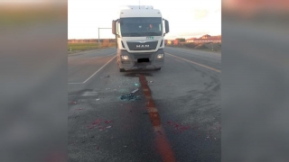 На саратовской трассе в ДТП с фурой пострадала женщина