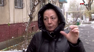 Жительница Саратова о нападении бродячей собаки на дочку: "Ее спасли джинсы"