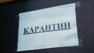 В Саратовской области растет заболеваемость ОРВИ, на карантине – семь школ и детсад