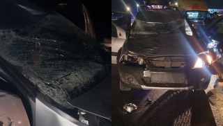 На трассе под Энгельсом водитель "Ларгуса" врезался в лошадь