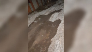 Жители Энгельса о коммунальной аварии: "Все пять дней спасают кого-то из этих луж"