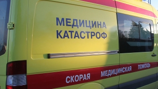 Житель Гагаринского района пилил дерево. Его обнаружили мертвым