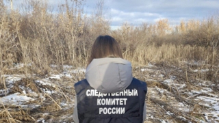 Разыскиваемого с августа мужчину нашли мертвым в заброшенном саду