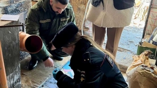 Под Энгельсом брат убил брата