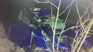 В ночном ДТП на трассе погибли лошади и пострадали люди