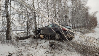 Под Саратовом "Опель" вылетел в кювет и врезался в дерево