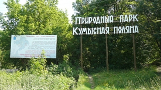 Мэрию заставили убрать свалку на Кумысной поляне