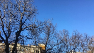 Саратовцев ждет облачный четверг без снега