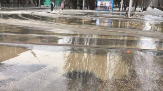 Саратовцев ждет пасмурный понедельник