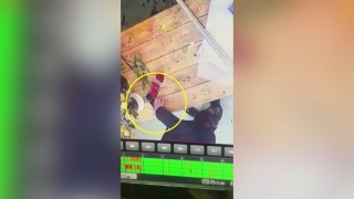 Саратовец технично украл "айфон" из цветочного магазина. Видео