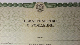 Ради полумиллиона рублей женщина "приписала" себе ребенка