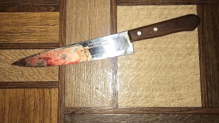 Молодой гость убил хозяина дома палкой и ножом. Приговор