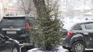 Снегопады в Саратовской области продолжатся до завтра
