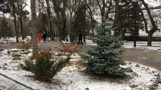 Саратовцев ждет 31 декабря с плюсом