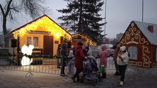 Саратовцев ждет теплый январский день