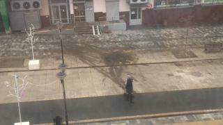 На пешеходной Волжской свалили фонарь и разворошили клумбы
