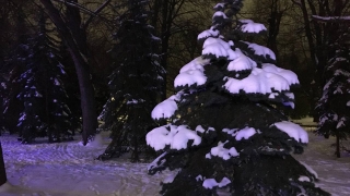 В ночь саратовцев ждет снегопад, через сутки - похолодание до -25°