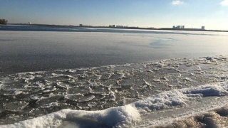 В Саратове из-за мороза отменяют занятия в 1-6 классах