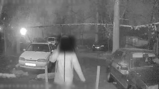 Курьеры ДТП-мошенников забрали у пенсионерки в Солнечном 50 тысяч рублей