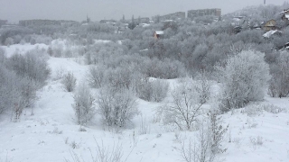 Синоптики обещают саратовцам облачную среду с морозом