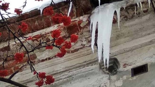 Синоптики обещают саратовцам солнце и небольшой мороз