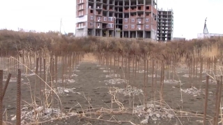 "Смертность бизнеса". За год ликвидировано 2095 саратовских предприятий
