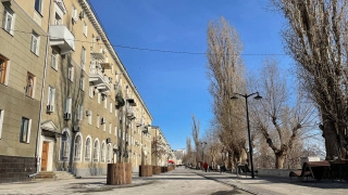 Саратовцев ждет ясный безветренный день
