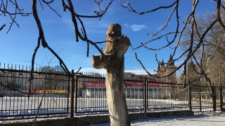 Последняя пятница января будет мягкой