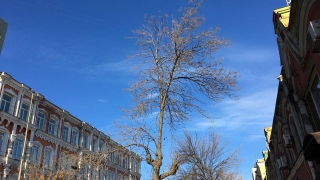 Саратовская погода изменится после выходных