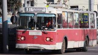 В Саратове из-за опиловки деревьев вновь встали троллейбусы