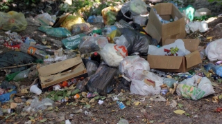 Администрация района добровольно не платит 1,1 млн за свалку мусора