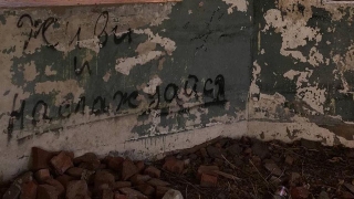 В Заводском районе мать не лечила и не учила сыновей. Возбуждено дело