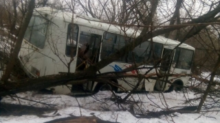 В Вольске пассажирский автобус вылетел с дороги. Есть пострадавшие