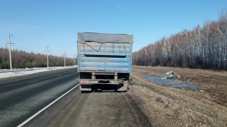 Водителю "десятки" стало плохо на трассе. Он въехал в грузовик и погиб