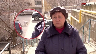 Саратовцы просят Александра Бастрыкина спасти детей от бродячих собак